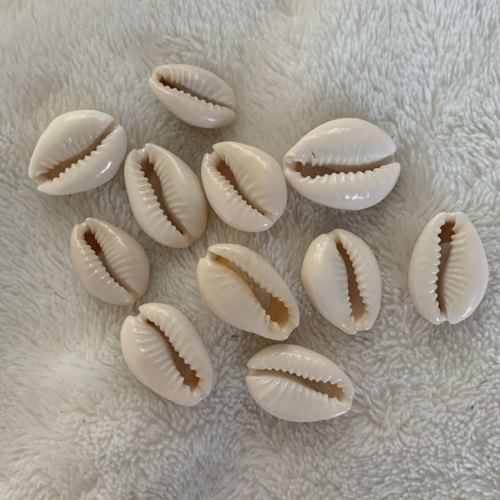 Shell beads